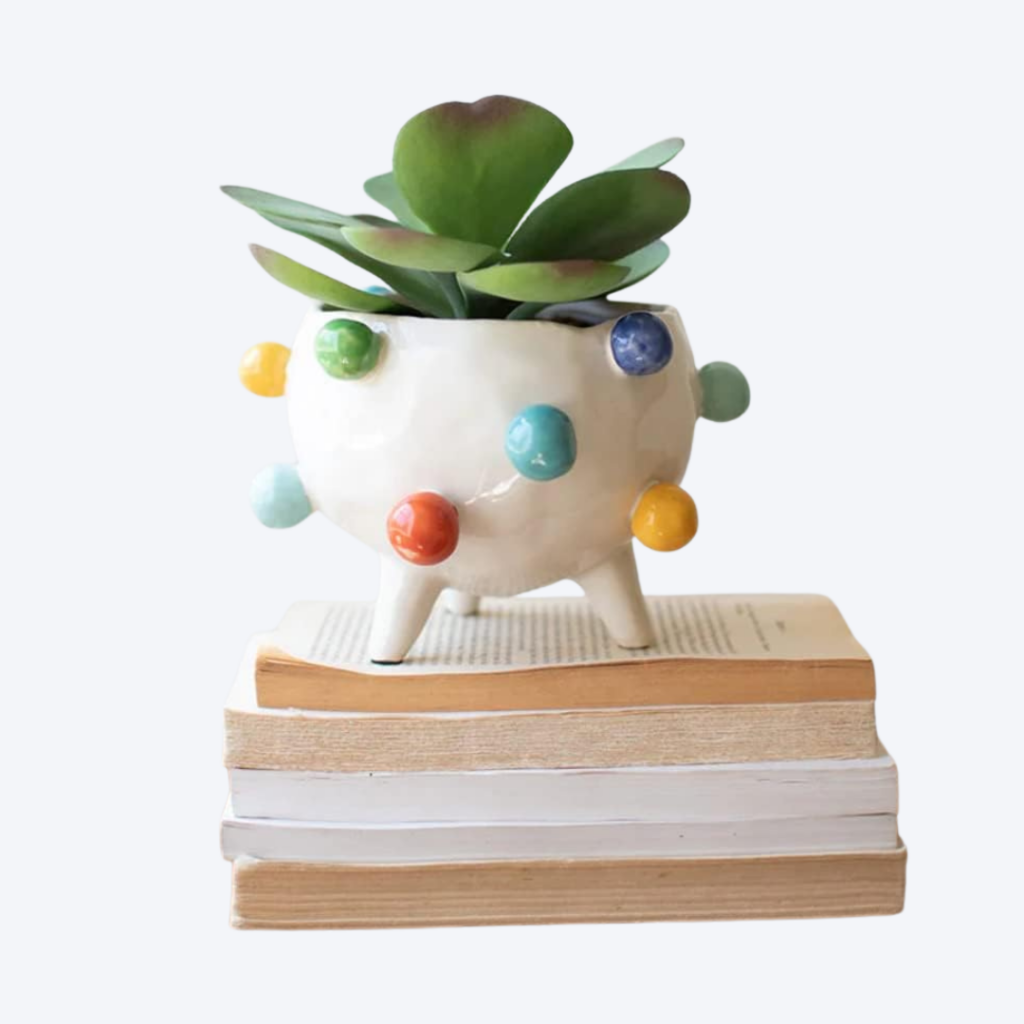 Kalalou colorful ceramic planter 6.3 inch for dopamine decor shelf and indoor plant styling