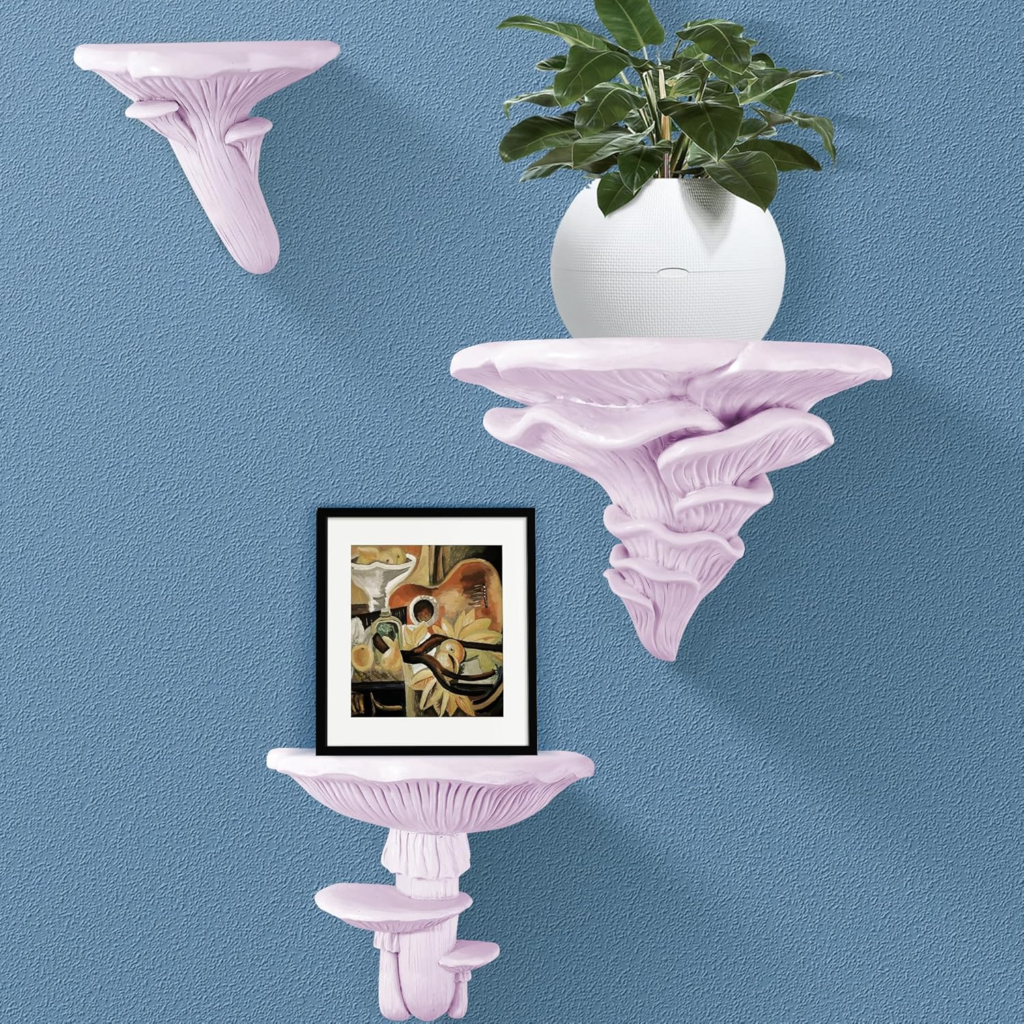 three piece floating shelf mushroom cottage core wall decor